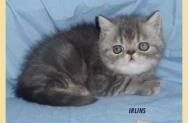 DSC00247.jpg