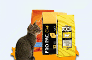 cat2_cat_korm.gif